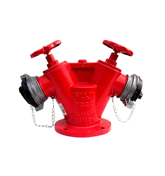 Đầu trụ chữa cháy 2 cửa ra D65