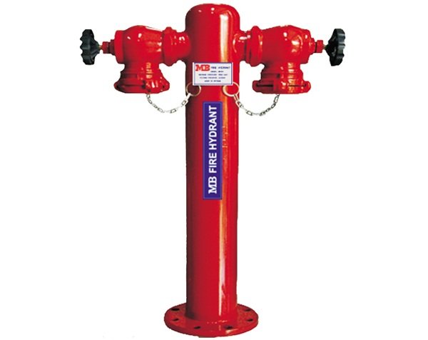 Trụ chữa cháy D100 có 2 cửa ra D65
